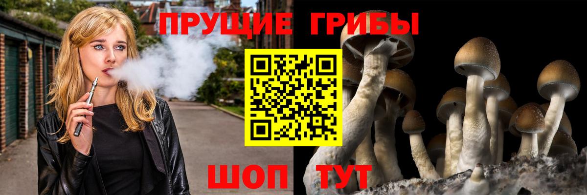 Муром  Галлюциногенные грибы MAGIC MUSHROOMS  магазин  наркотиков  Вход с VPN 